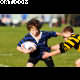 image 10 of 25