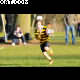 image 14 of 25