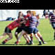 image 22 of 55